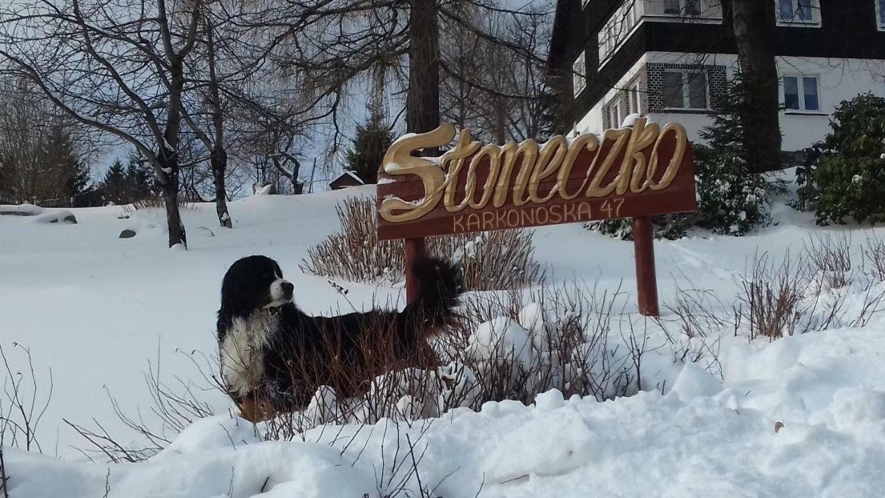 Апартаменты Sloneczko Карпач Экстерьер фото
